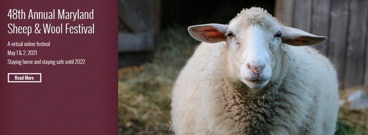 Maryland Sheep And Wool Virtual Festival April 28 To May 2 Online Event Allevents In Sheep Festival 2022