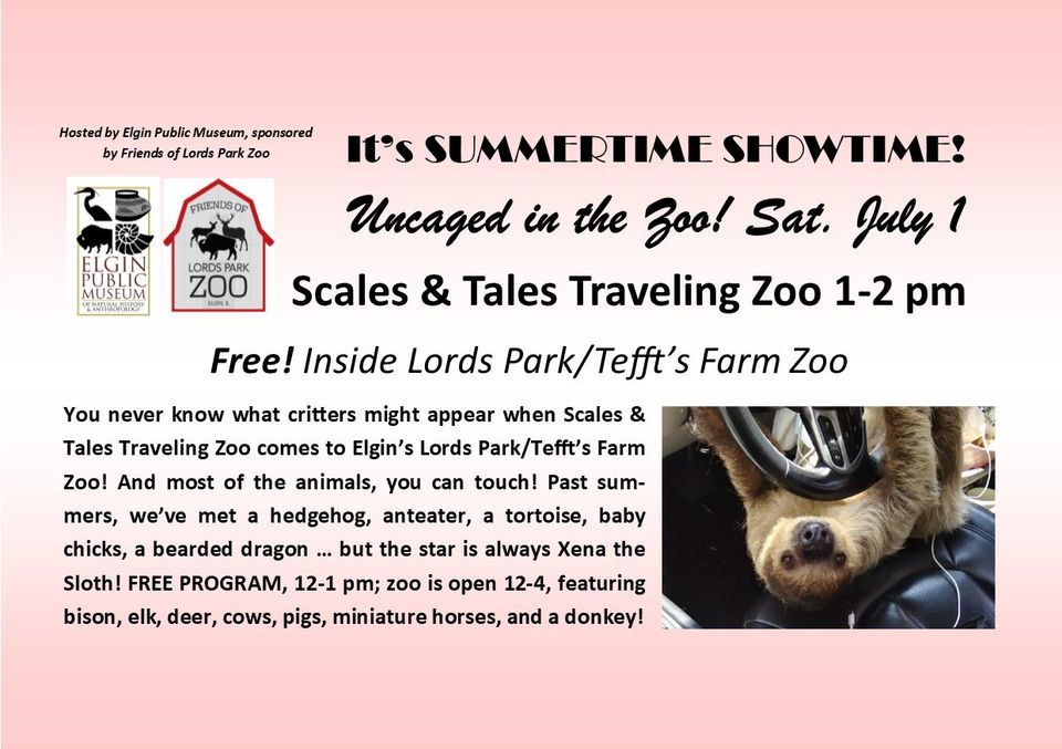 Uncaged in the Zoo SCALES & TALES TRAVELING ZOO!, Lords Park Zoo