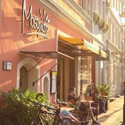 Mosquito Cottbus
