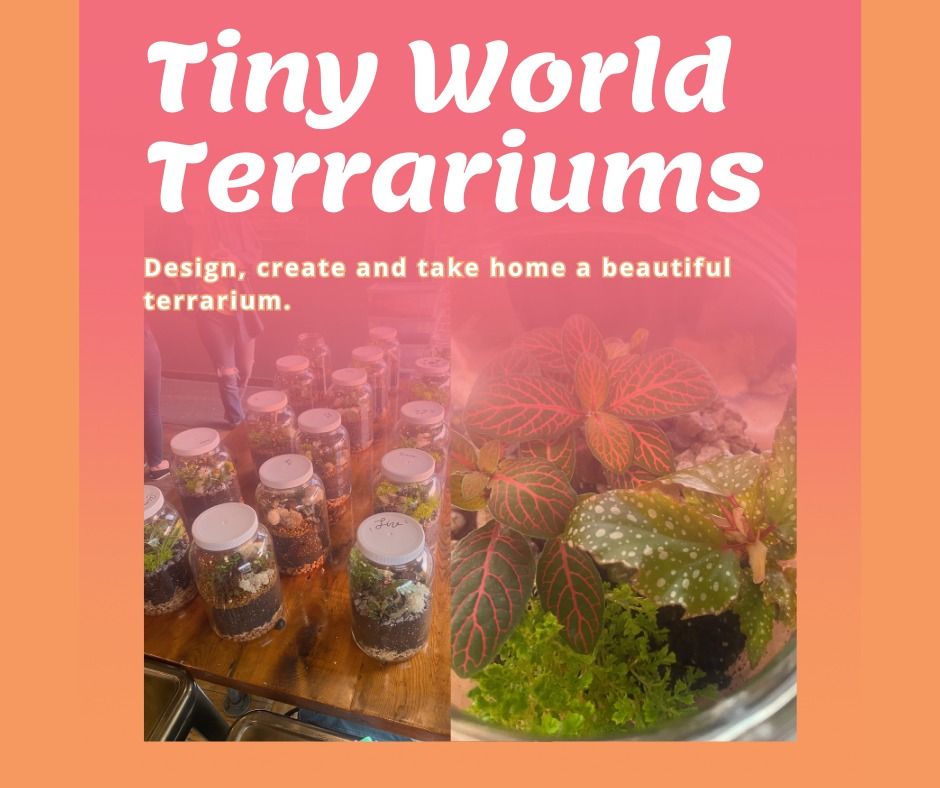 Tiny World Terrariums , 1230 Caledonia St, La Crosse, WI 546032513