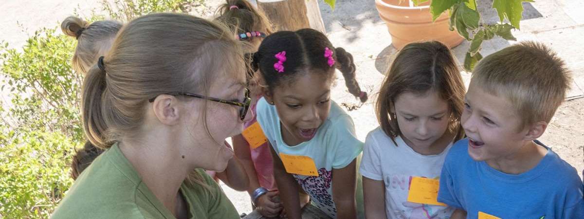 Camp CBG: Super Scientists, 23 June | Event in Glencoe | AllEvents