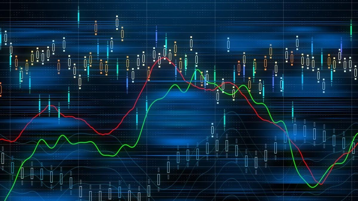 Mv forex