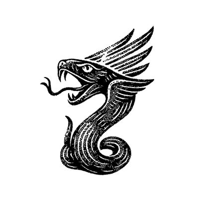 Python Brasil 2026 logo