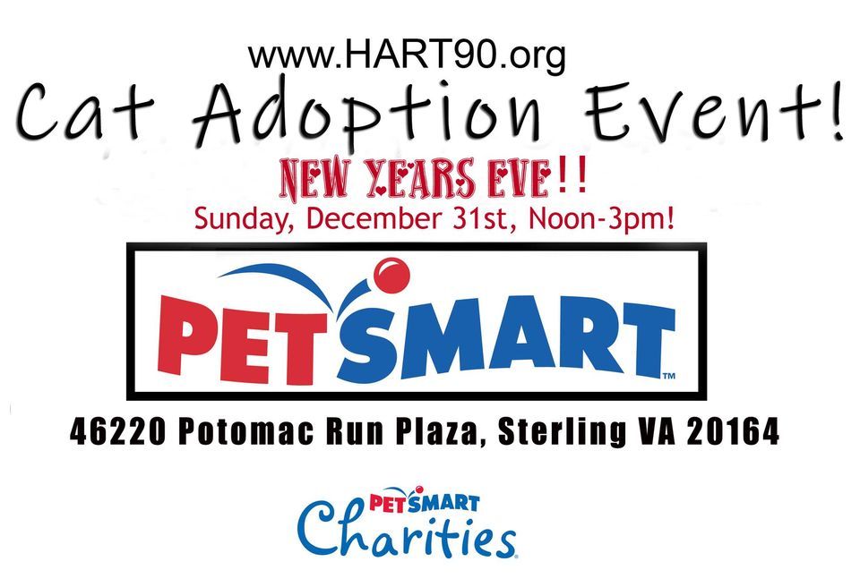 New Years Eve Cat Adoption Event! , PetSmart, Sterling, 31 December