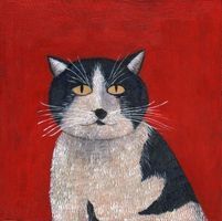 User profile photo