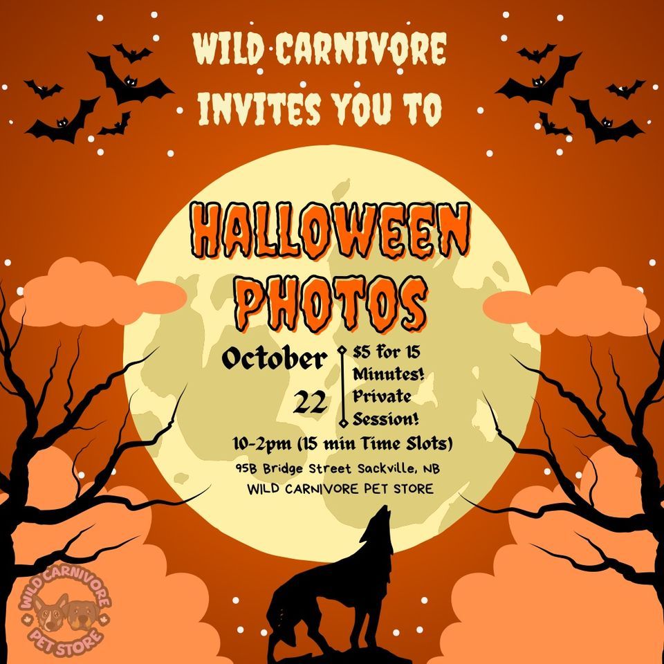 Wild Carnivore Halloween Photos, Wild Carnivore Pet Store, Sackville