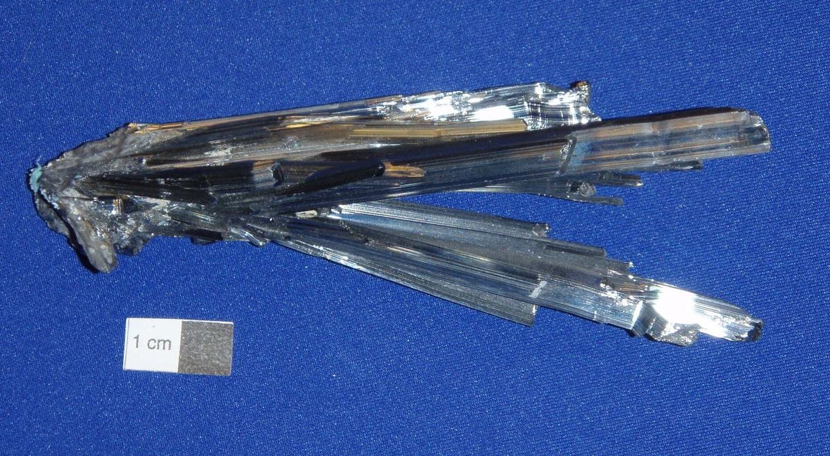 Parking The Ides of March, 20 December | Event in Des Plaines | AllEvents