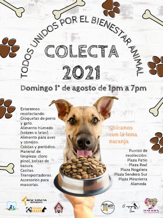 Colecta Todos Unidos por el Bienestar Animal, Alameda Zaragoza, San Nicolas De Los Garza, 1 August Colecta Todos Unidos por el Bienestar Animal, Alameda Zaragoza, San Nicolas De Los Garza, 1 August