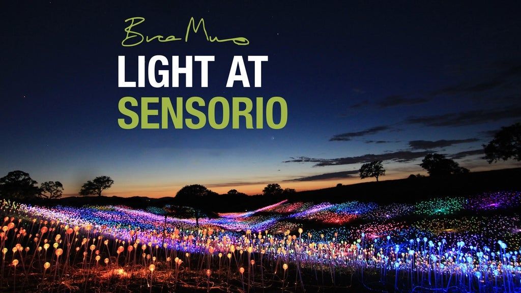 Bruce Munro Light At Sensorio Sensorio Paso Robles January 13 2023 Bruce Munro Light At Sensorio Sensorio Paso Robles January 13 2023
