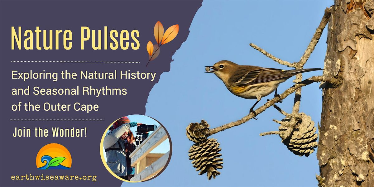 Nature Pulses ⧽ Monitoring Plants and Wildlife in a Changing Climate, 29 November | Event in Provincetown
