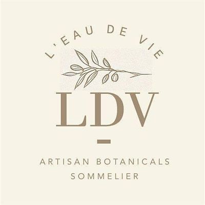 LDV Wellness logo