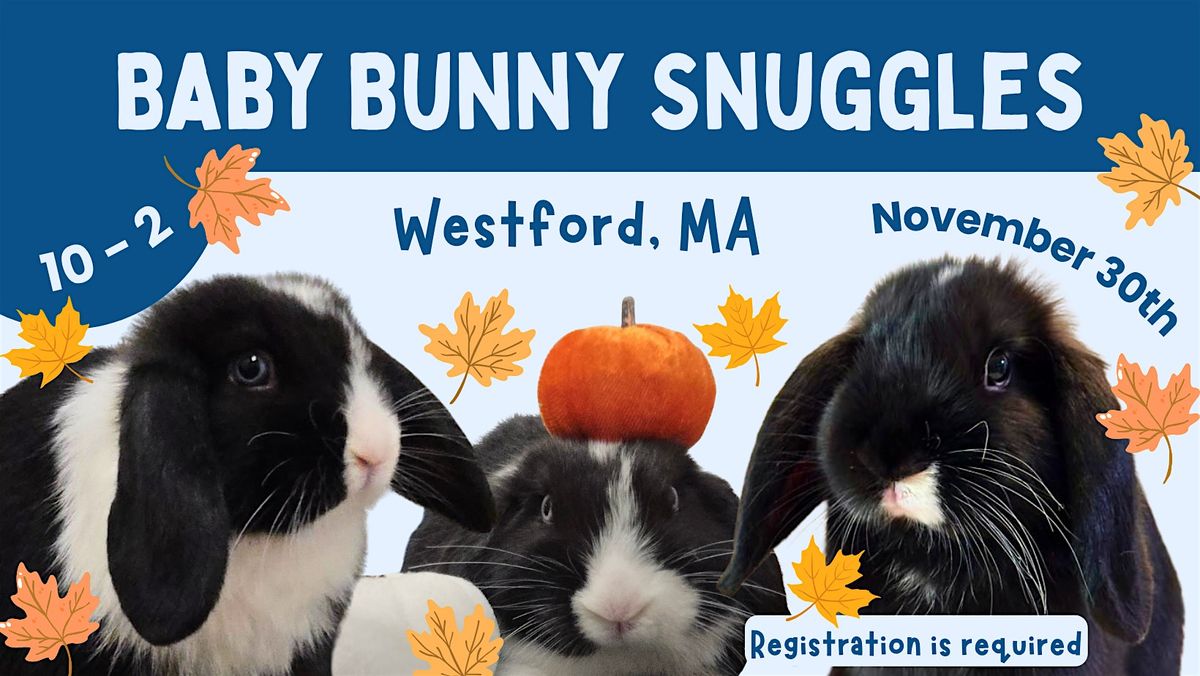 Baby Bunny Snuggles, 30 November | Event in Westford | AllEvents
