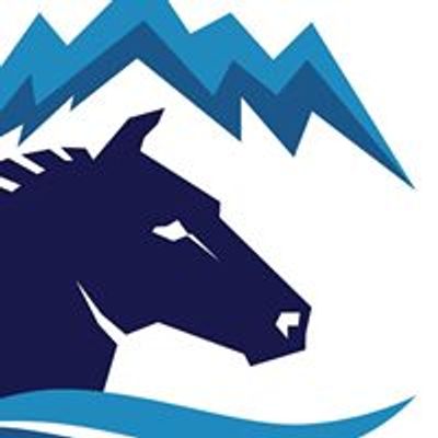 Dynamics Coaching