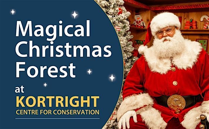Magical Christmas Forest | Event in Woodbridge | AllEvents