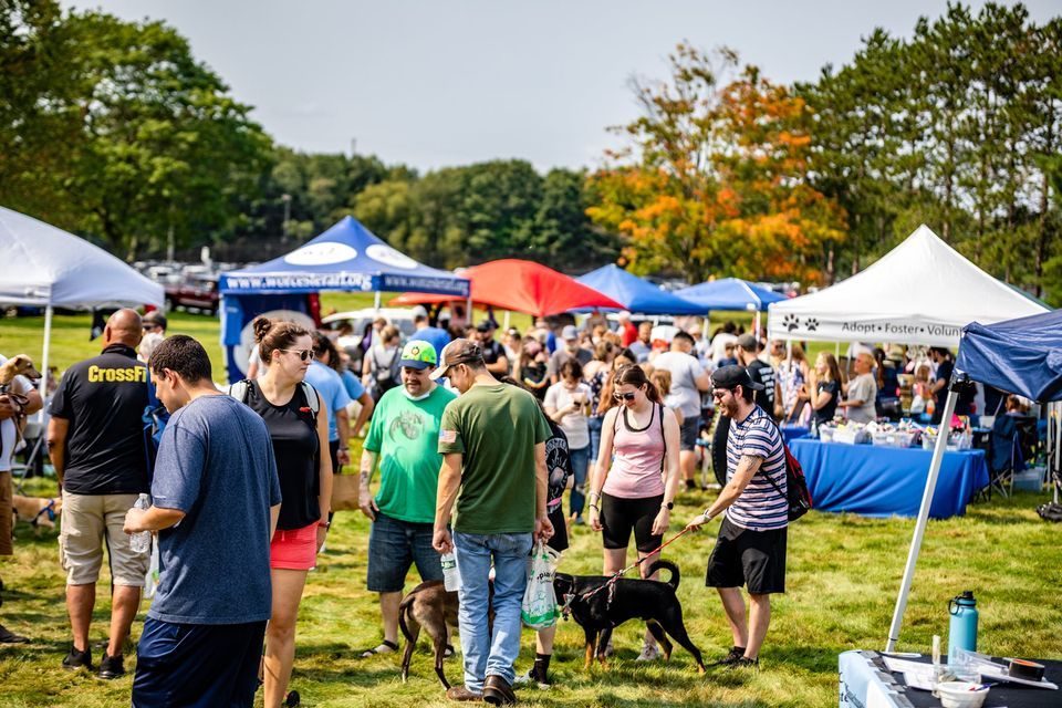 25th Annual Pet Rock Festival , Scandinavian Athletic Club / SAC Park
