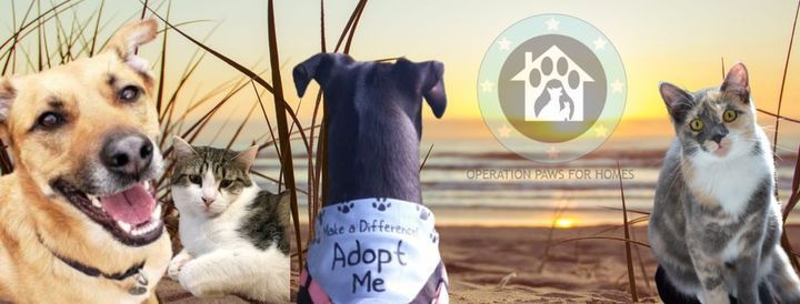 Petsmart Events List Of All Upcoming Petsmart Events In Severn Md Petsmart Events 2022