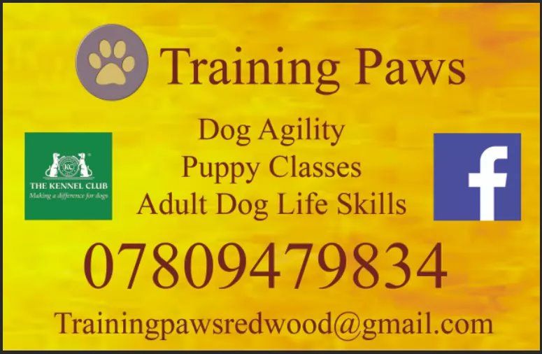 Adult Kennel Club Good Citizen Award scheme class, Antrim Castle Mall