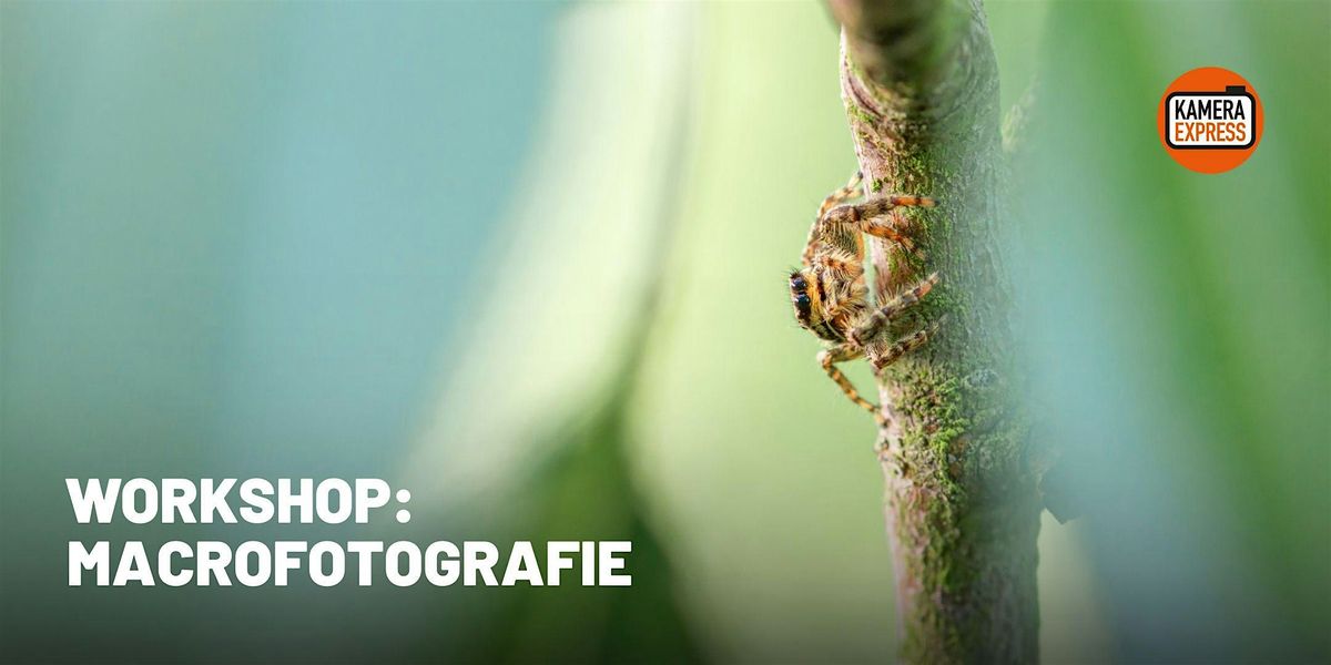 Workshop: Macrofotografie