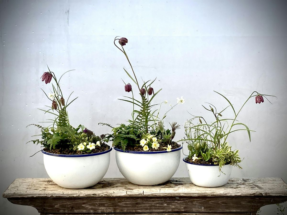 Spring Alpine Planter Workshop