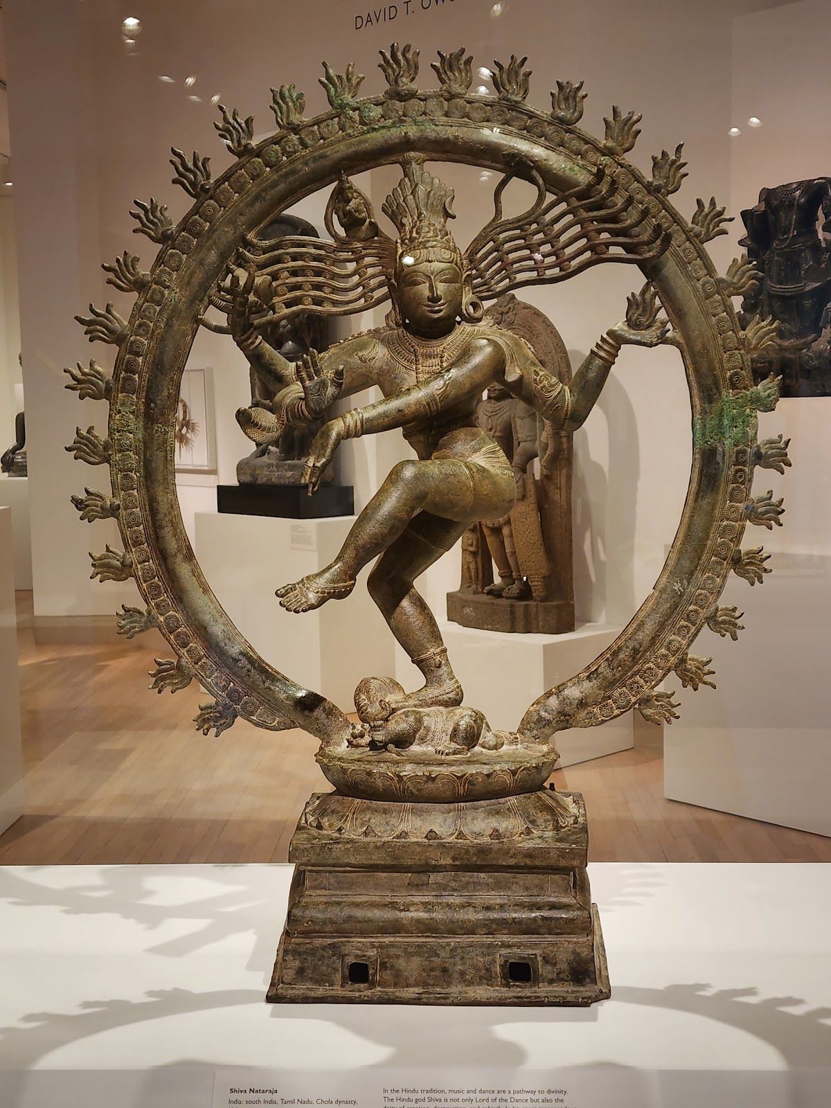 Discover Events & Things To Do Around The Dallas Museum of Art | AllEvents