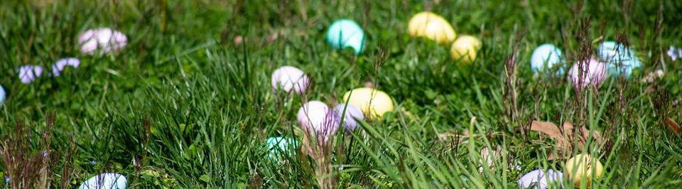 Knoxville Moms 2022 Easter Egg Hunt Muse Knoxville March 27 2022 Allevents In San Antonio Events Easter Weekend 2022