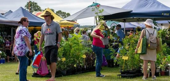 Brisbane Garden Plant Expo 2022 Rocklea Showgrounds March 12 To March 13 Allevents In Edison Garden Festival 2022