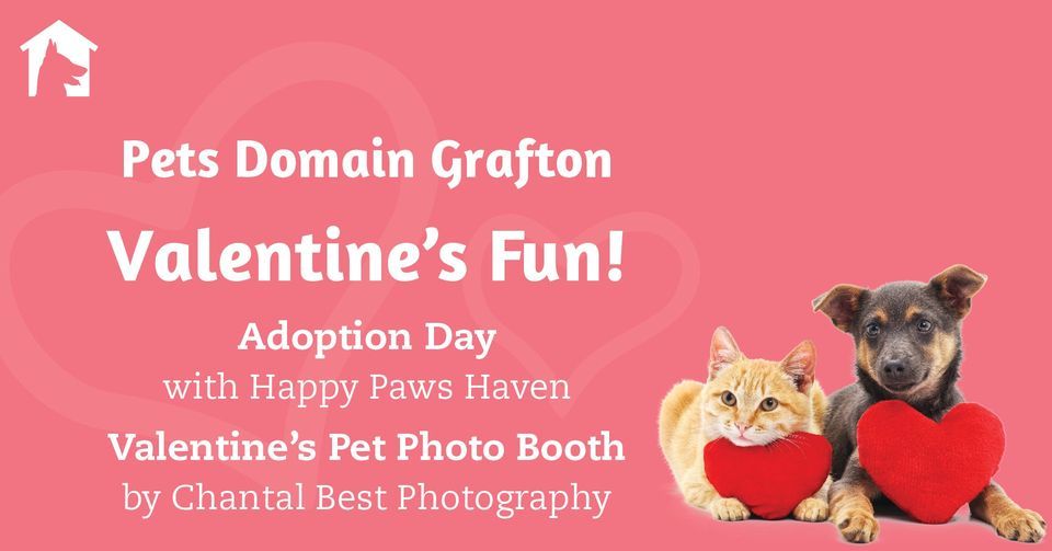 Adoption Day & Pet Photo Booth, Pets Domain Grafton, South Grafton, 10
