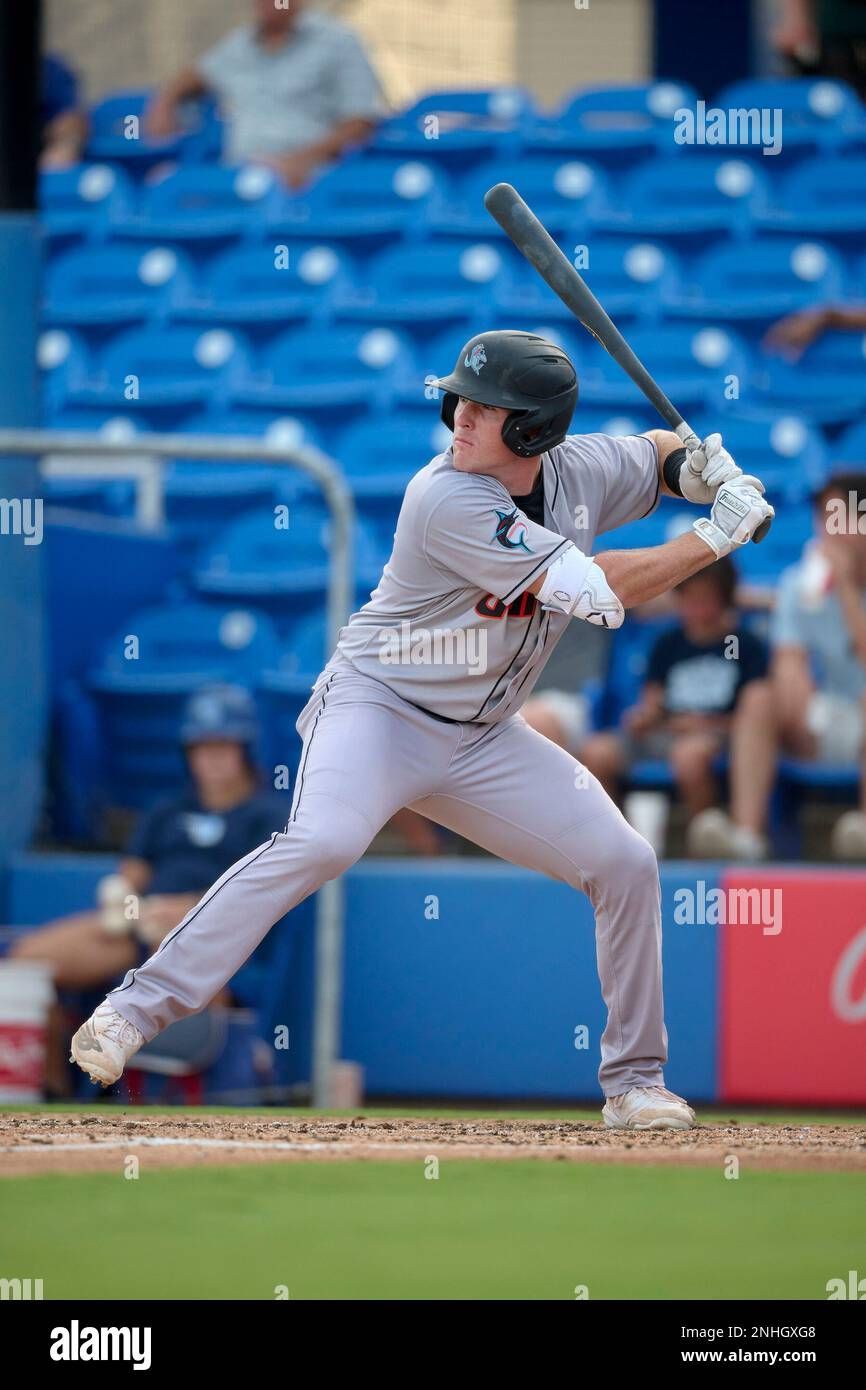 Jupiter Hammerheads vs. Dunedin Blue Jays | Event in Jupiter | AllEvents