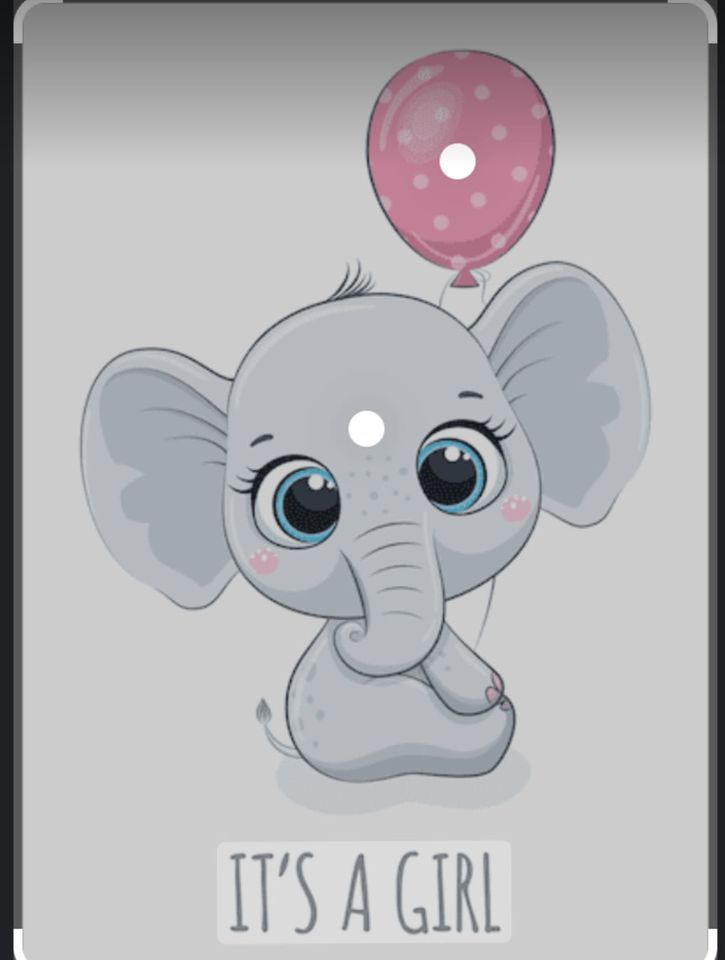 Baby Girl Shower, Tin Shop, Roanoke, October 16 2022 AllEvents.in