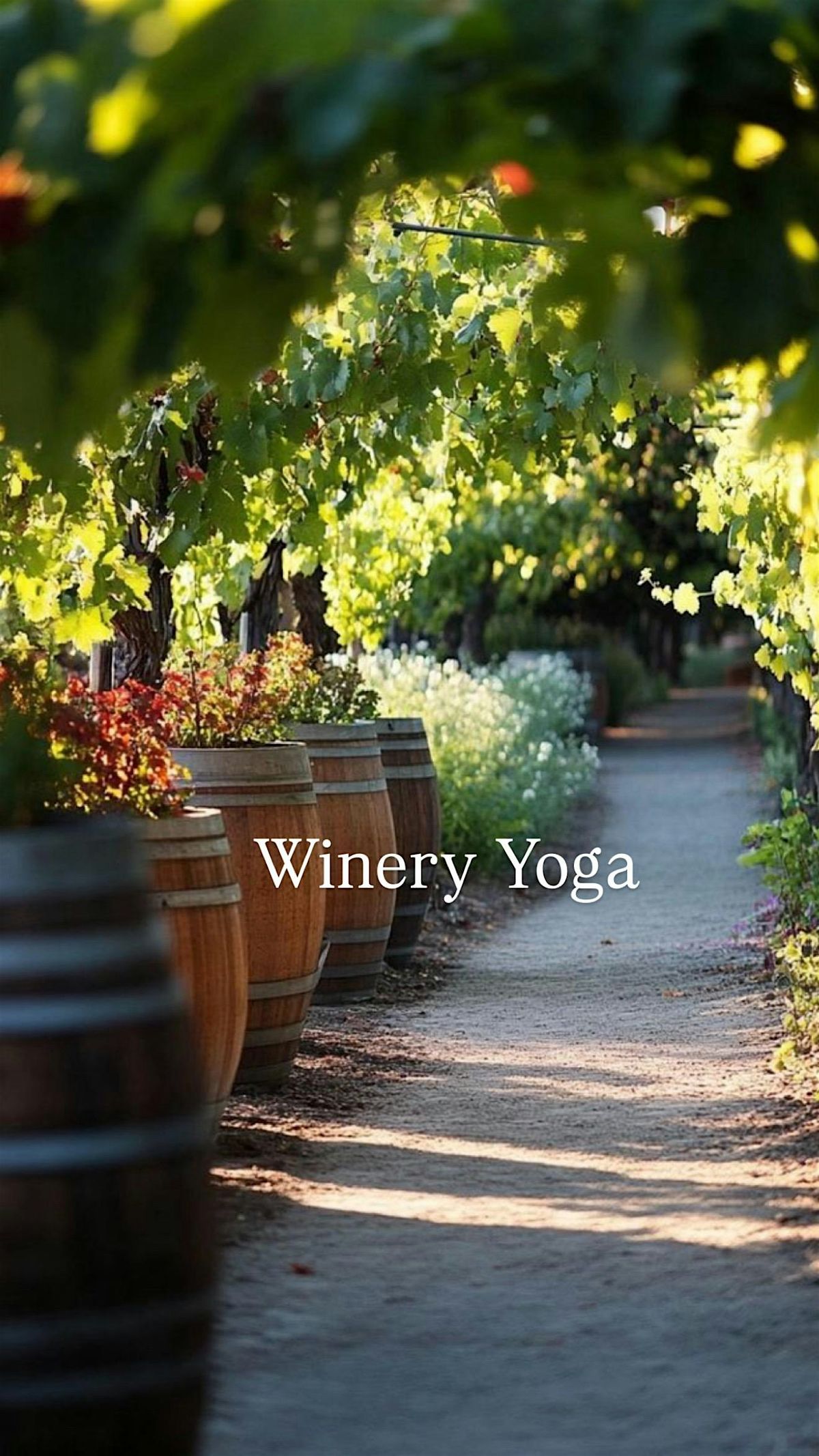 Mimosas & Yoga Stretches and Sips Class, 28 December | Event in Sacramento | AllEvents