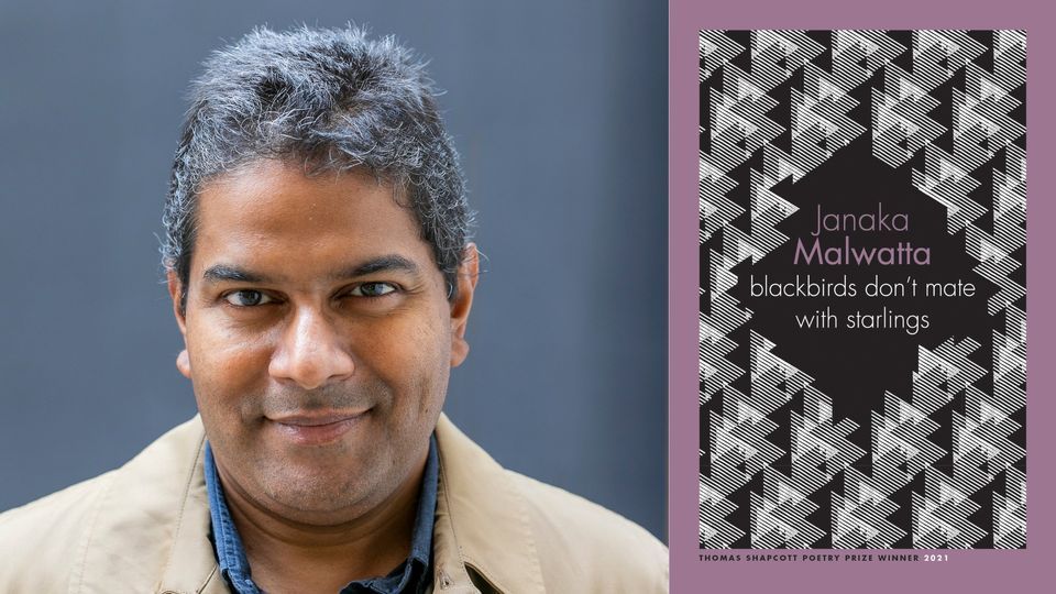 (Instore and Online) Janaka Malwatta blackbirds