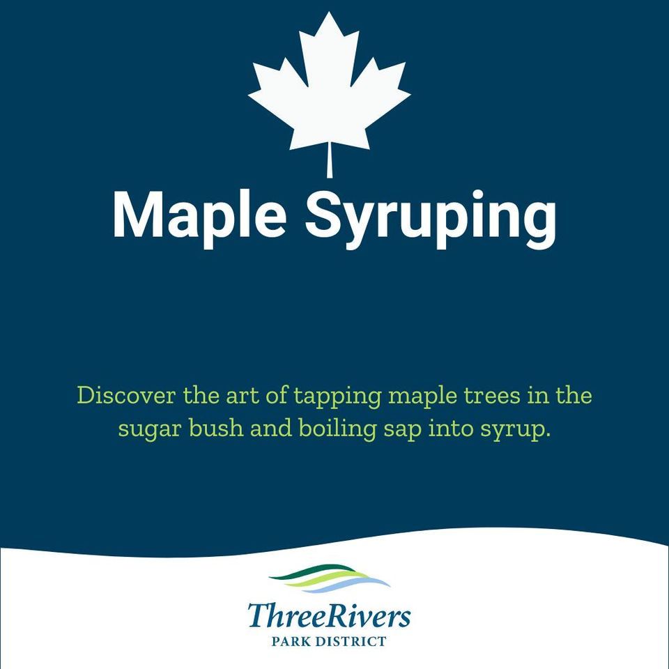 Maple Syruping, 4001 County Road 24, Maple Plain, MN, United States