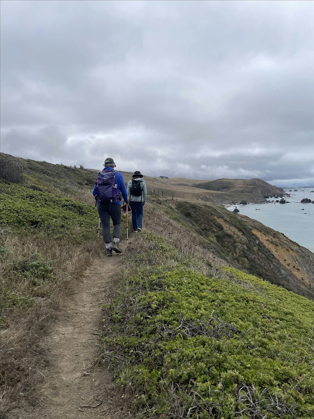 FREE EVENT! Join Coyote and The Magpie for a Solstice Fitness Hike, 21 December | Event in Bodega Bay | AllEvents