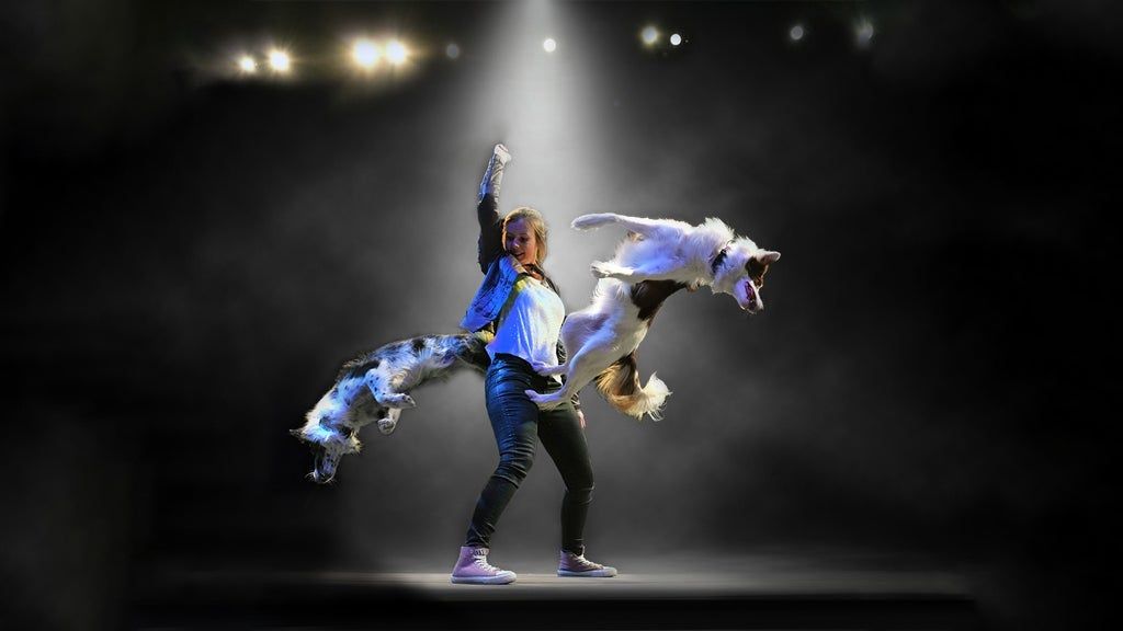 Mutts Gone Nuts, 6 January | Event in Pensacola | AllEvents