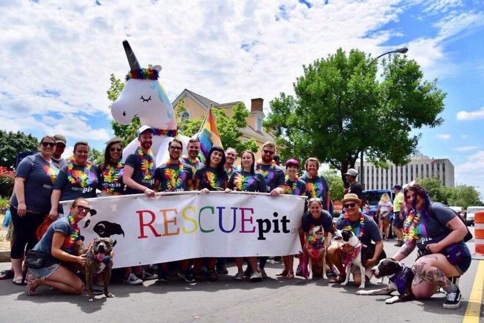 Pride Parade, Rochester, N.Y., July 15 2025 AllEvents.in