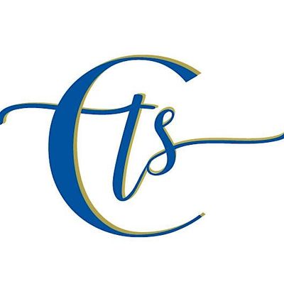 Chasing The Sun Global LLC logo