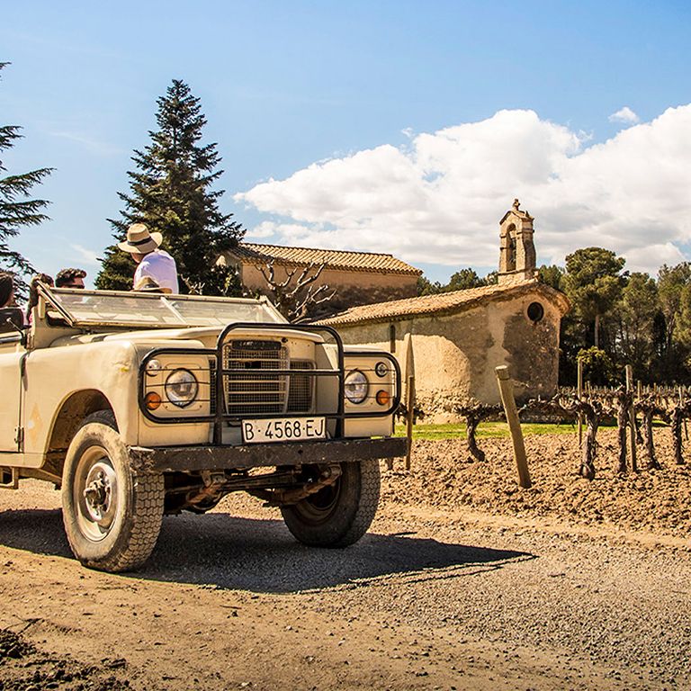 Tour de Vinos y Cava en Penedès y Experiencia en Viñedos en 4x4 desde Barcelona | Event in Barcelona | AllEvents