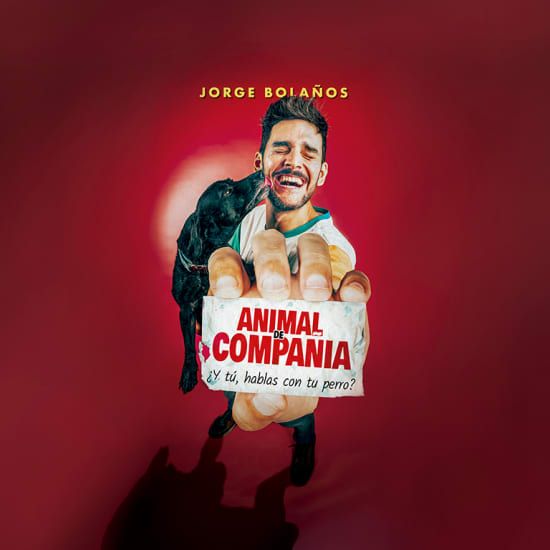 Animal de Compañía en Zaragoza, 20 February | Event in Zaragoza | AllEvents