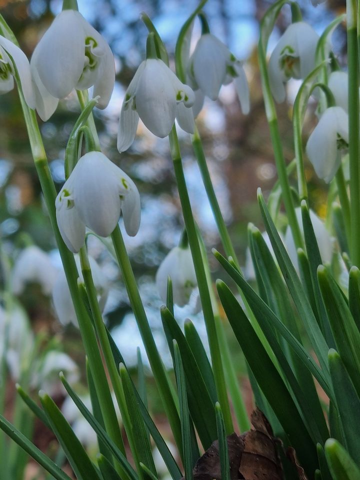 Winter Family Afternoon 6 January, Two Muddy Boots, Haywards Heath, January 6 2024 AllEvents.in