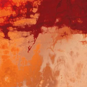 Ben Böhmer in Hesse