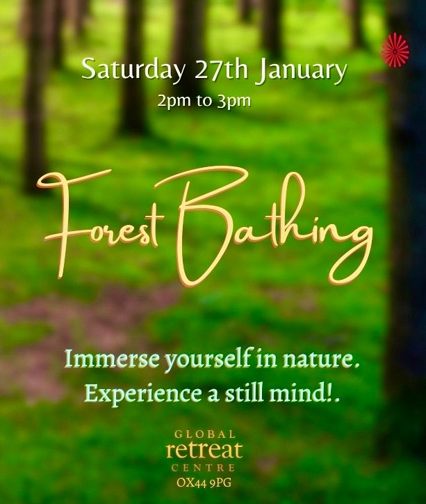 Forest Bathing, Global Retreat Centre, Abingdon, 24 February 2024 ...