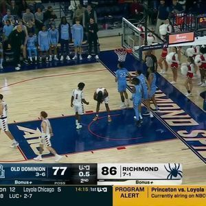 Niagara Purple Eagles at Old Dominion Monarchs Baseball