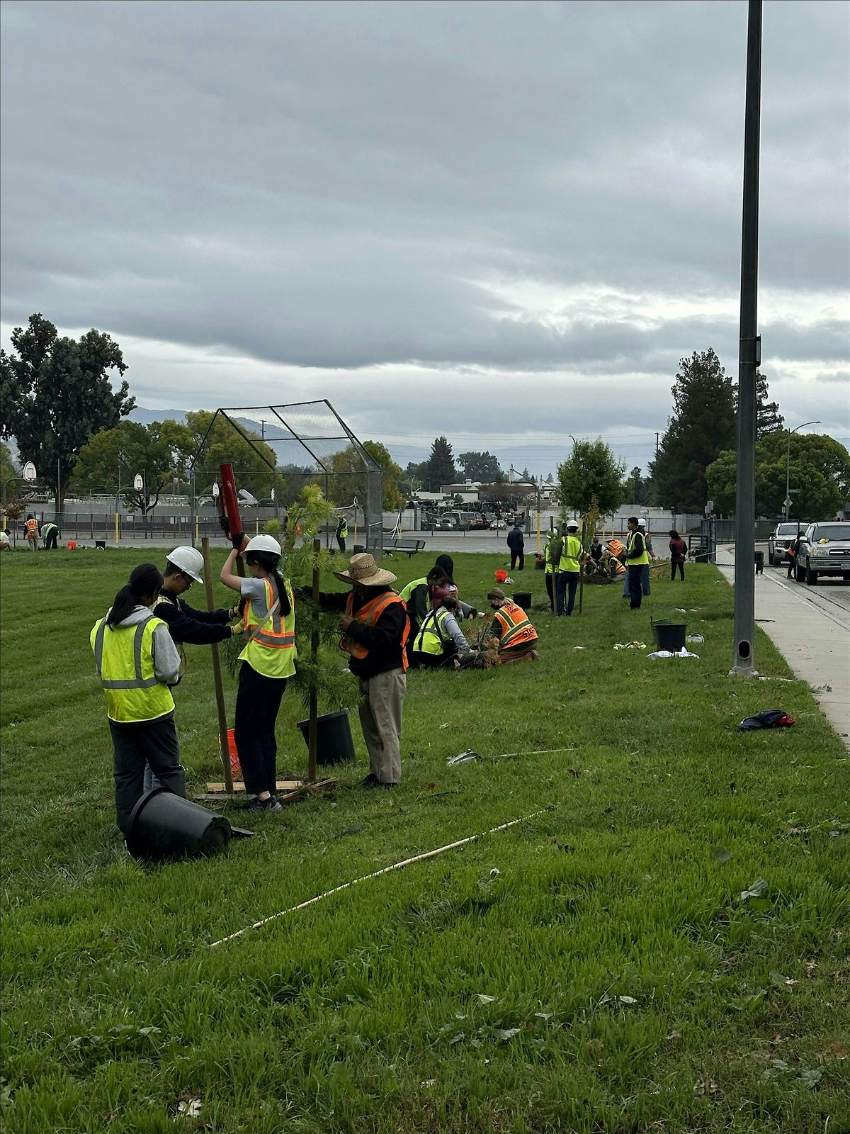 Bridges Academy Community Planting with Our City Forest, 13 December | Event in San Jose | AllEvents