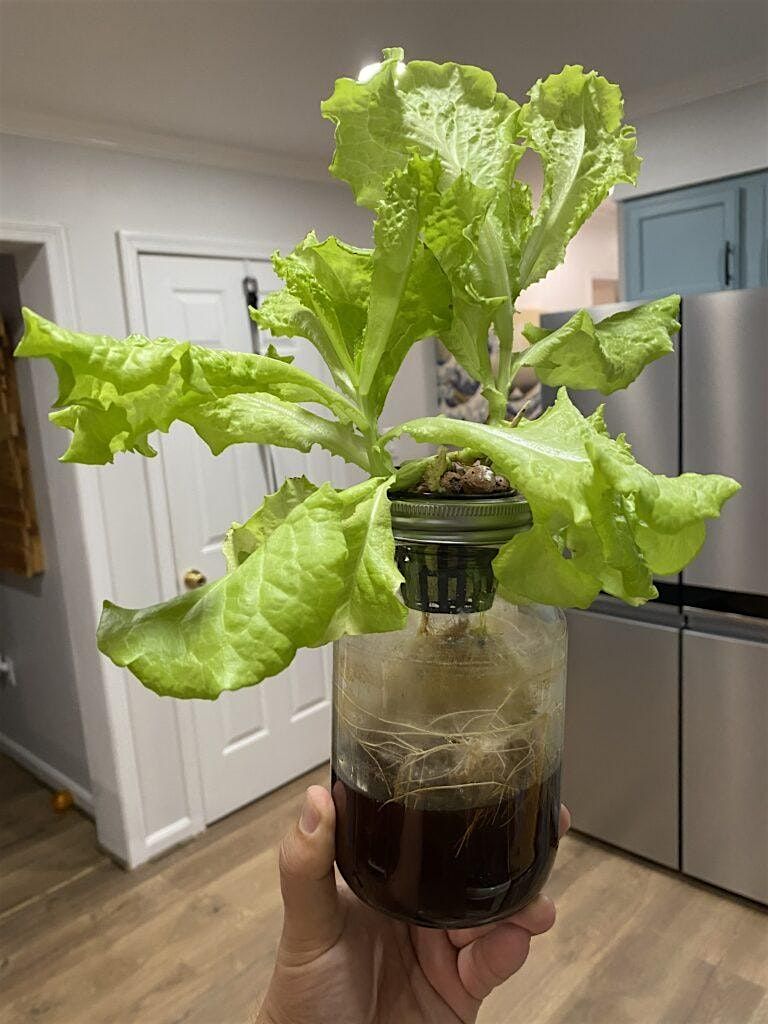 Intro to Indoor Growing and Hydroponics - Carrboro, 7 February | Event in Carrboro | AllEvents