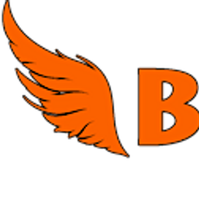 Best Wings LI logo