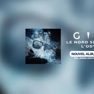 GIMS in
