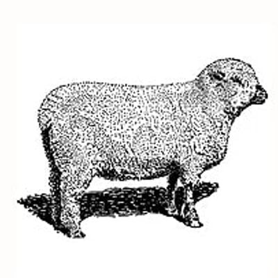 Stillwater Farm