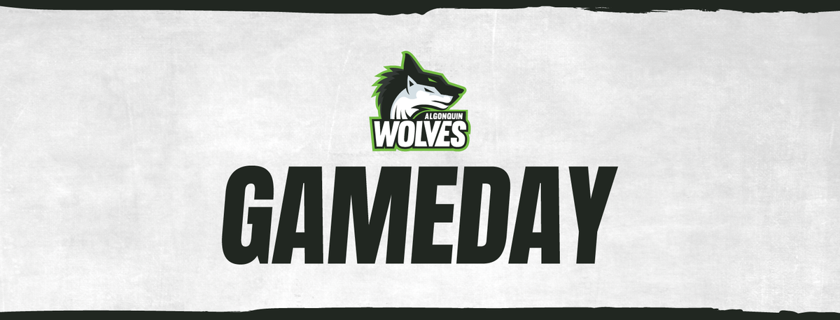 Varsity Basketball: Algonquin Wolves vs. George Brown Huskies, 17 January | Event in Ottawa | AllEvents