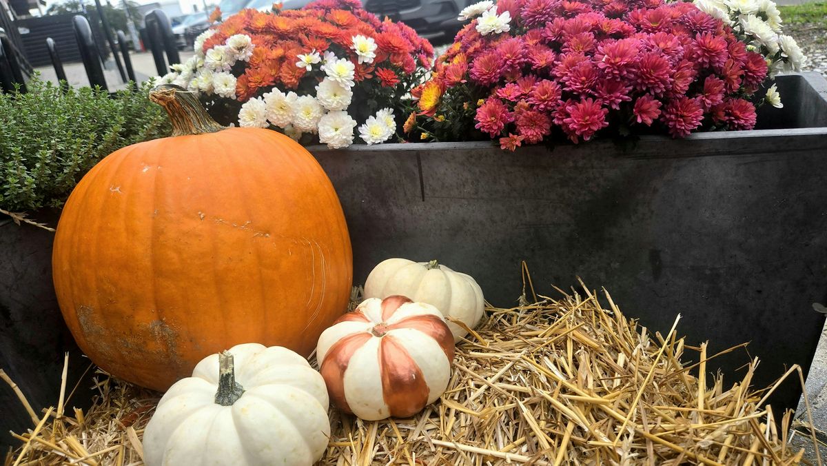 APD Pumpkin Carving Party, Asbury Park Distilling Co, 18 October 2026 ...