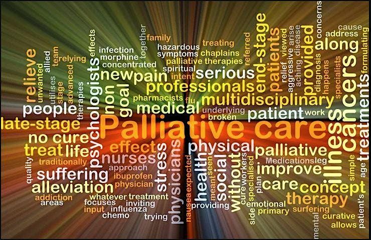 Clinical Skills Workshop: Essence of Palliative Care